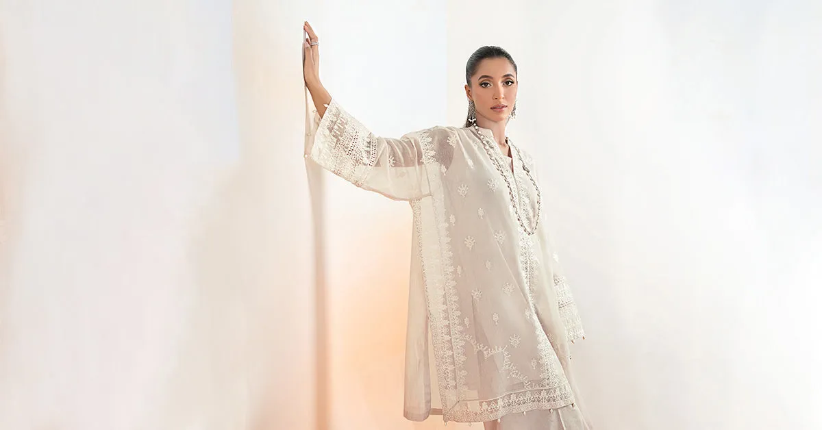 3 Piece Embroidered Cotton Net Suit | DW-EF25-92