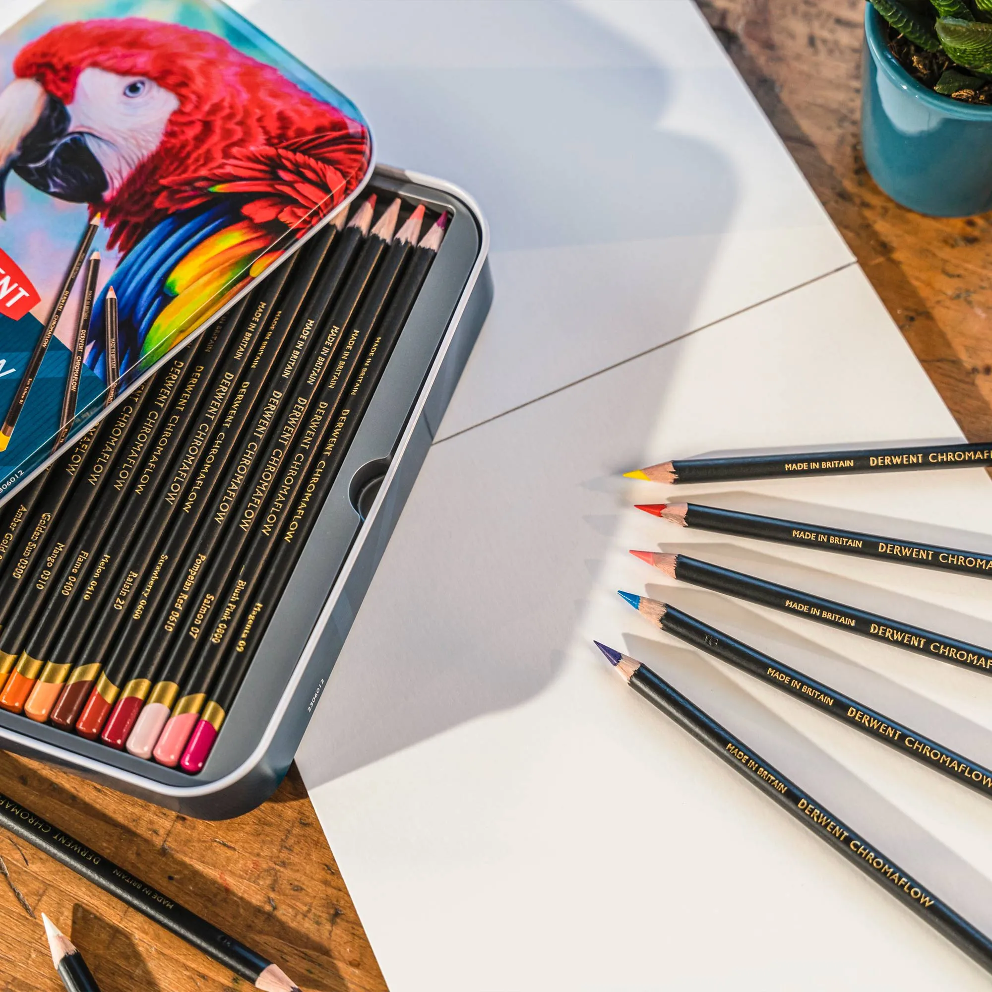 Derwent Chromaflow Pencils - Set of 24 - FREE Set of 2 Blender Pens