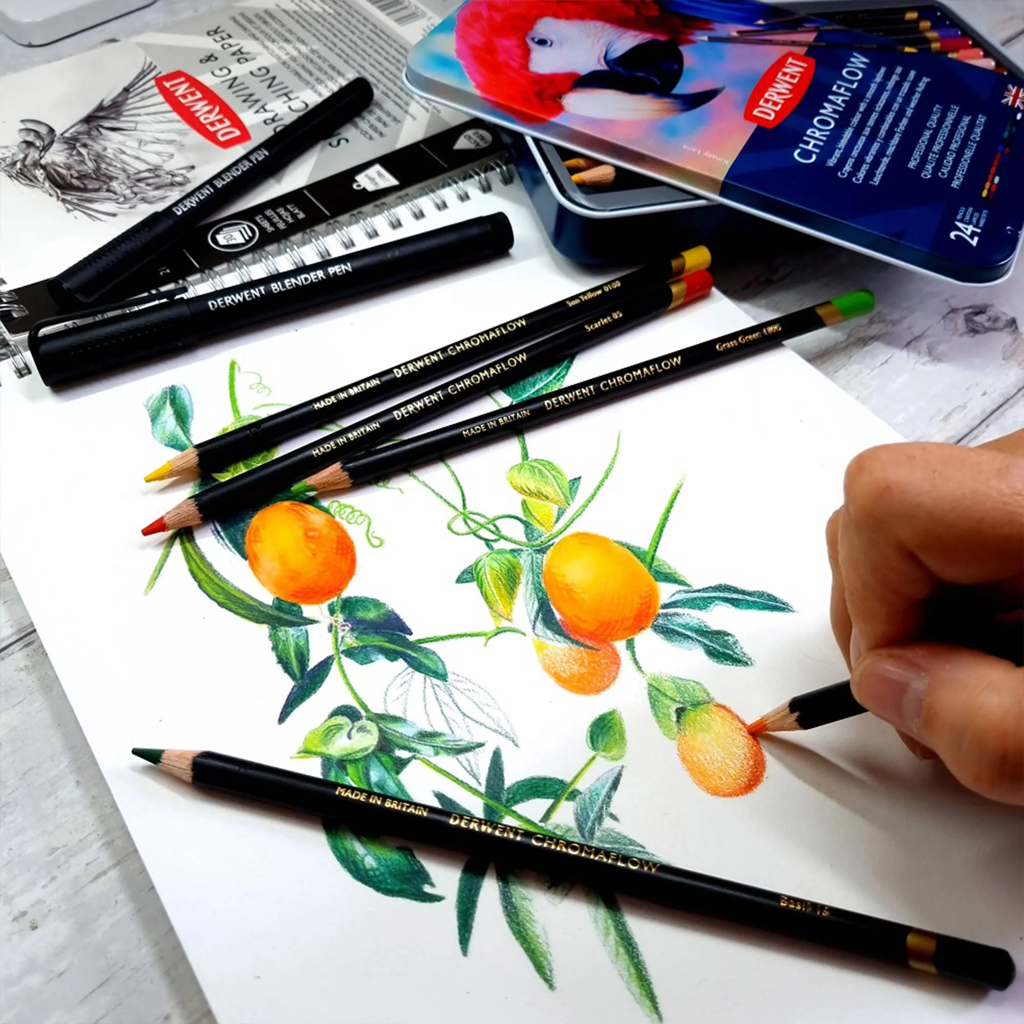 Derwent Chromaflow Pencils - Set of 24 - FREE Set of 2 Blender Pens