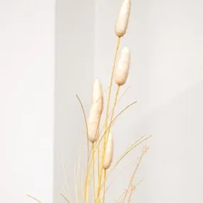 Late Summer Bunny Tail & Dried Grass Spray