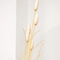 Late Summer Bunny Tail & Dried Grass Spray