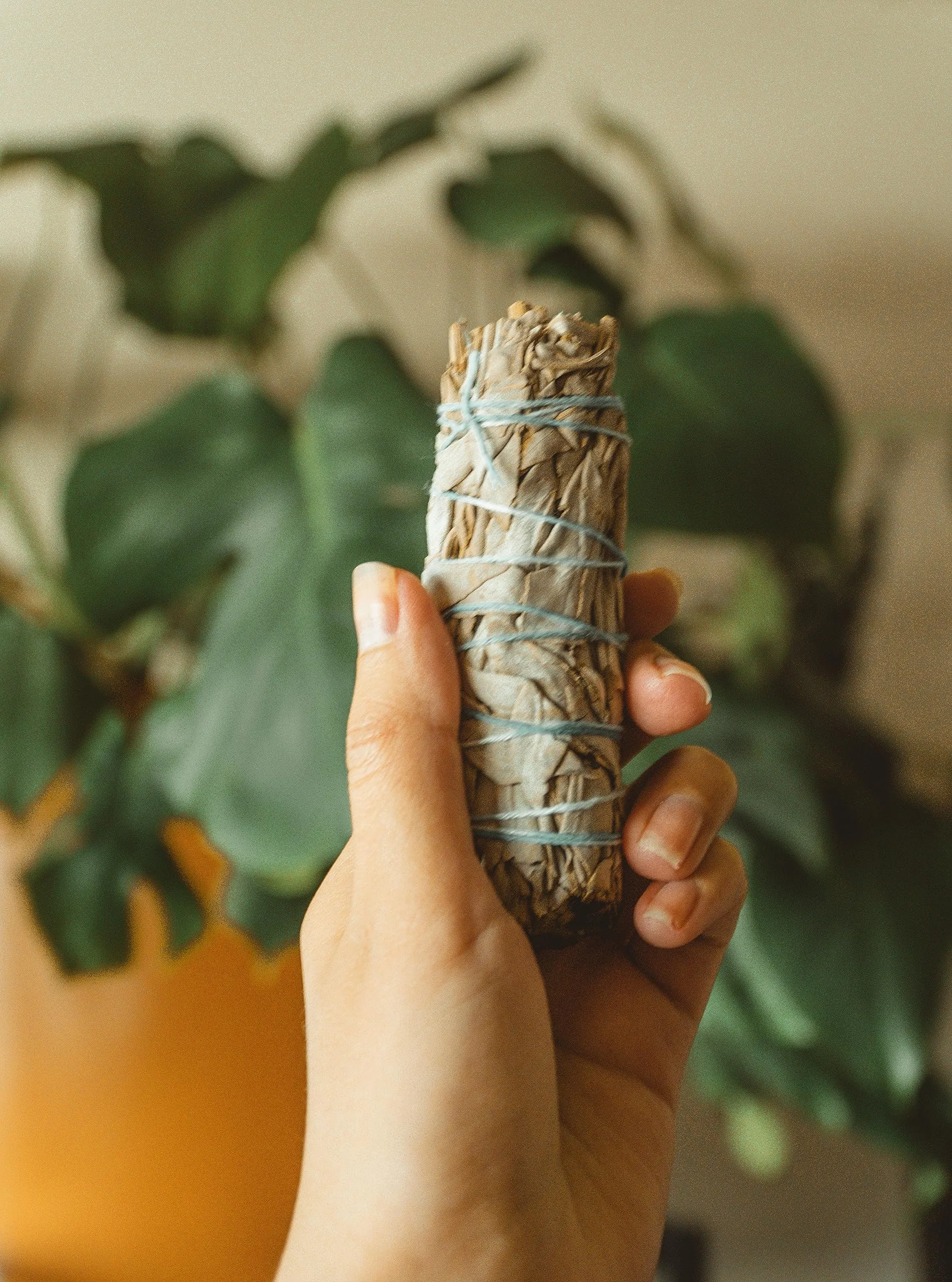 Natraj Creations Indian White Sage 4 Bundle Smudging sage Sticks for Cleansing Home Smudge Rituals (6 Inches, 25-30 Grams Each) Incense Sticks for Removing Negativity,Spiritual Healing,Improves Sleep