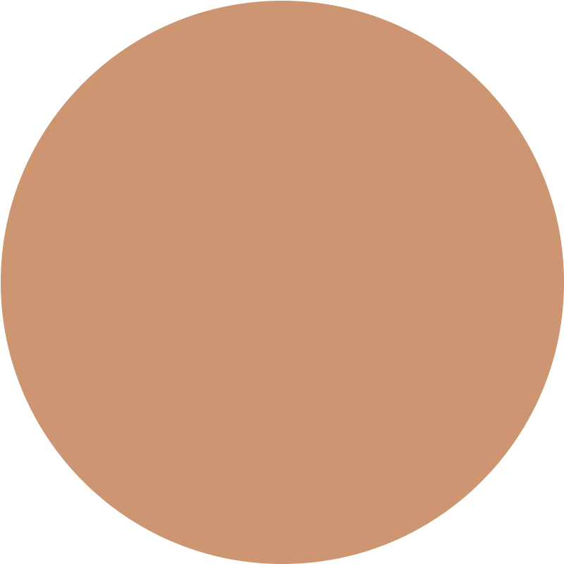 Skin Tint Serum Foundation Golden