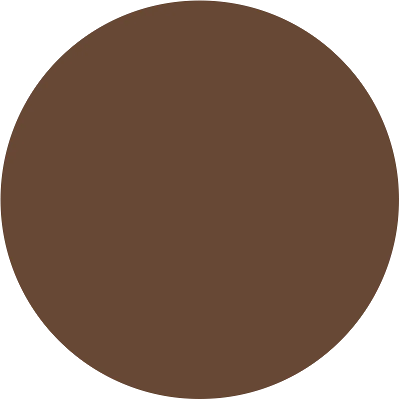 Skin Tint Serum Foundation Rich